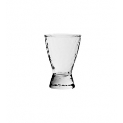 Shooters Fermi Shot Glass